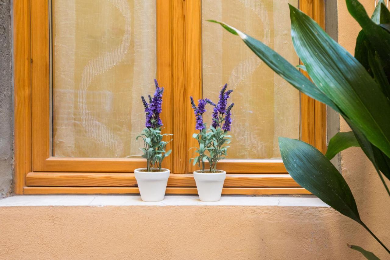 Charming Fiesolana Apartment In Heart Of Florence Luaran gambar